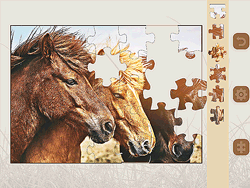 Jigsaw Puzzle: Horses Edition - Arcade & Classic - POG.COM