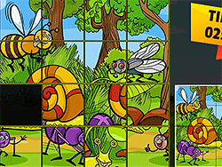 Insect Pic Puzzles