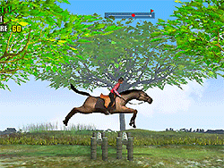 Horse Jumping