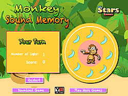 Monkey Sound Memory