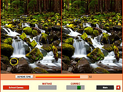 Forest Waterfalls Difference