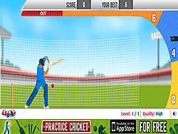 Practice Cricket